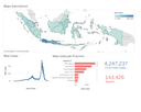Indonesia's Covid-19 Visualization
